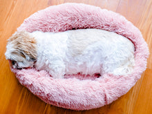 Load image into Gallery viewer, Coco brown caramel beige Calming Relaxing Anti-Anxiety Anxiety Dog Cat Pet Bed Sleep nervous puppy kitten Clotted cream billy Rufus blush pink cloudy grey charcoal black