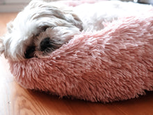 Load image into Gallery viewer, Coco brown caramel beige Calming Relaxing Anti-Anxiety Anxiety Dog Cat Pet Bed Sleep nervous puppy kitten Clotted cream billy Rufus blush pink cloudy grey charcoal black