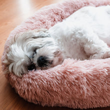 Load image into Gallery viewer, Coco brown caramel beige Calming Relaxing Anti-Anxiety Anxiety Dog Cat Pet Bed Sleep nervous puppy kitten Clotted cream billy Rufus blush pink cloudy grey charcoal black