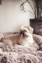 Load image into Gallery viewer, Coco brown caramel beige Calming Relaxing Anti-Anxiety Anxiety Dog Cat Pet Bed Sleep nervous puppy kitten Clotted cream billy Rufus blush pink cloudy grey charcoal black