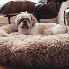 Load image into Gallery viewer, Coco brown caramel beige Calming Relaxing Anti-Anxiety Anxiety Dog Cat Pet Bed Sleep nervous puppy kitten Clotted cream billy Rufus blush pink cloudy grey charcoal black