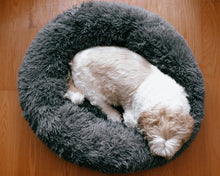 Load image into Gallery viewer, Coco brown caramel beige Calming Relaxing Anti-Anxiety Anxiety Dog Cat Pet Bed Sleep nervous puppy kitten Clotted cream billy Rufus blush pink cloudy grey charcoal black