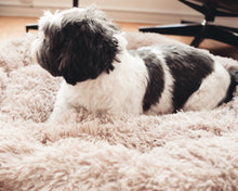 Load image into Gallery viewer, Coco brown caramel beige Calming Relaxing Anti-Anxiety Anxiety Dog Cat Pet Bed Sleep nervous puppy kitten Clotted cream billy Rufus blush pink cloudy grey charcoal black