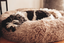 Load image into Gallery viewer, Coco brown caramel beige Calming Relaxing Anti-Anxiety Anxiety Dog Cat Pet Bed Sleep nervous puppy kitten Clotted cream billy Rufus blush pink cloudy grey charcoal black