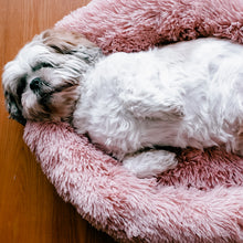 Load image into Gallery viewer, Coco brown caramel beige Calming Relaxing Anti-Anxiety Anxiety Dog Cat Pet Bed Sleep nervous puppy kitten Clotted cream billy Rufus blush pink cloudy grey charcoal black